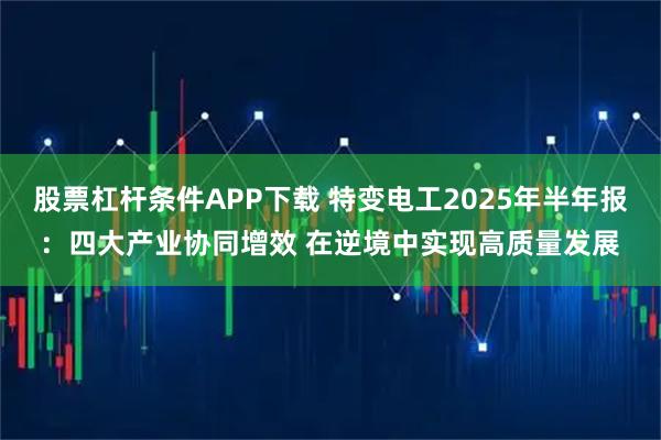 股票杠杆条件APP下载 特变电工2025年半年报：四大产业协同增效 在逆境中实现高质量发展